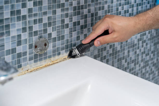 Best DIY Mold Remediation Support Services in Atkins, VA