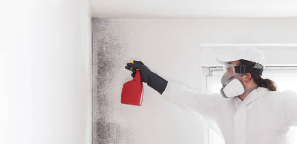 Best Post-Flood Mold Remediation in Atkins, VA